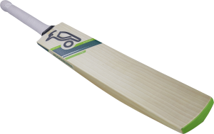 Cricket bat PNG-76679